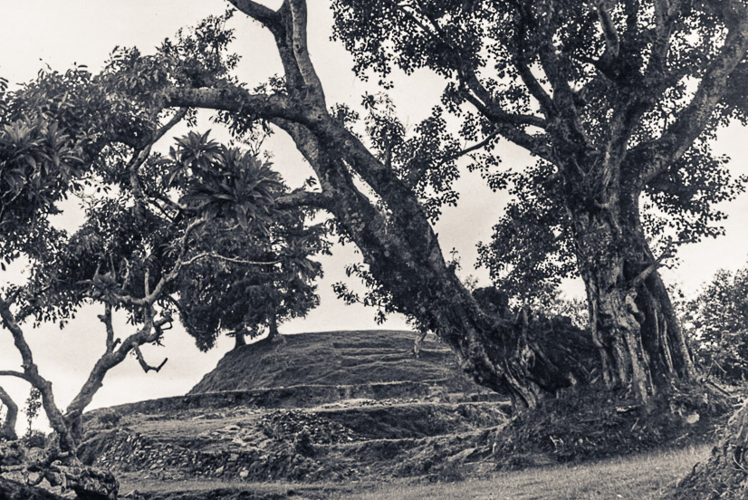 The “astrologer’s hill,” Kopan, 1969